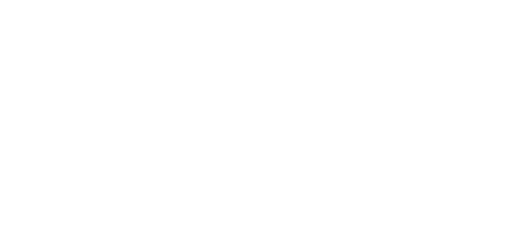 Academica logo 2026 White